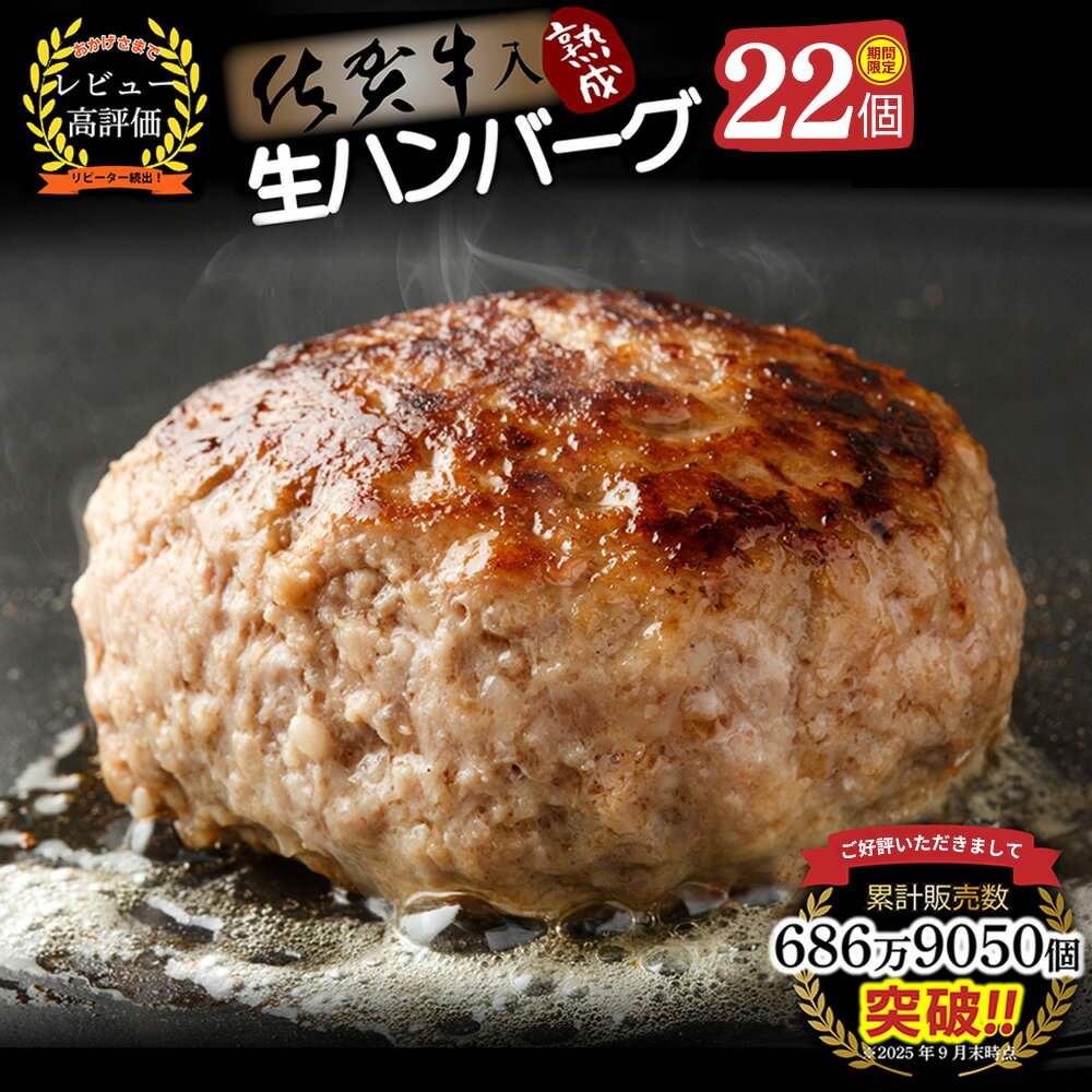 [14日以内発送!期間限定]佐賀牛入り ハンバーグ 22個 2.6kg(120g×22個)[佐賀牛 黒毛和牛 ブランド牛 九州 ハンバーグ 牛肉 豚肉 国産 お弁当 おかず 惣菜 おすすめ 人気](H083105)