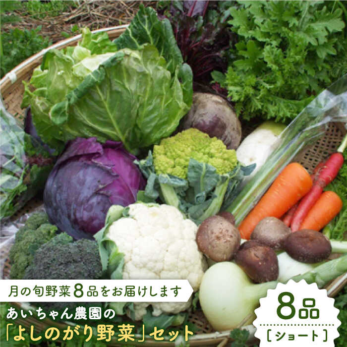 [8品]農薬に頼らない!カラダにやさしい「よしのがり野菜」セット(ショート)[吉野ヶ里あいちゃん農園] 