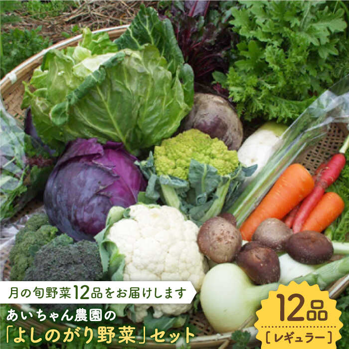 【ふるさと納税】【12品】農薬に頼らない！カラダにやさしい「よしのがり野菜」セット（レギュラー）吉野ヶ里町/吉野ヶ里あいちゃん農園 [FAA005]