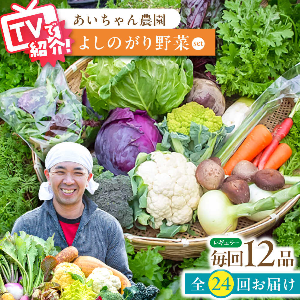 ■吉野ヶ里あいちゃん農園の元気野菜が安全・安心おいしく育つ5つの理由 耕作放棄地を活用したアスリート農法 落ち葉・野生生物などの有機物が長年堆積した、栄養バランスの良い自然のままの土壌を活用しています。 リスク分散で可能な減農薬農法 地域に点在する小さな耕作放棄地の活用により、病害虫や天災のリスク分散をおこなっています。 自家製エキスで忌避混作農法 害虫が苦手な針葉樹や生姜・にんにくなどの特製エキスに加え、相性の良い野菜の同時栽培で農薬が不要になります。 活力を与える植物酵素 約30品目に及ぶ野菜・草花・果物から、砂糖の浸透圧で抽出した酵素を触媒とする強い野菜づくりをしています。 命がめぐる有機肥料 野菜クズや米ぬかなどの有機物や、直営飲食店の食品残渣や出汁、ガラなどの廃棄物を温床に発行させた有機肥料を使用しています。季節のお野菜を【2週間に1回・計24回】お届けいたします。 ＜お届けするお野菜の例＞ 1月：カブ、キャベツ、カリフラワーなど、合計12品 2月：大根、菜花、ブロッコリーなど、合計12品 3月：菜の花、レタス、大根など、合計12品 4月：レタス、カブ、エンドウ豆など、合計12品 5月：タケノコ、キャベツ、ニンジンなど、合計12品 6月：ズッキーニ、カブ、ニンジンなど、合計12品 7月：キュウリ、カボチャ、オクラなど、合計12品 8月：ナス、オクラ、ピーマンなど、合計12品 9月：ナス、ズッキーニ、空芯菜など、合計12品 10月：キャベツ、カブ、ナスなど、合計12品 11月：ブロッコリー、白菜、大根など、合計12品 12月：原木椎茸、ニンジン、白菜など、合計12品 ※12品のうち野菜の生育状況等により同種の野菜が重複して入る場合がございます。あらかじめご了承ください。3月・9月は農作物の端境期の影響で収穫量が安定しないため出荷をお休みさせていただく場合がございます。※定期便の全お届け回数に変更はございません※#野菜/旬の野菜/#野菜/定期便/#特集/定期便特集/■吉野ヶ里あいちゃん農園の元気野菜が安全・安心おいしく育つ5つの理由 耕作放棄地を活用したアスリート農法 落ち葉・野生生物などの有機物が長年堆積した、栄養バランスの良い自然のままの土壌を活用しています。 リスク分散で可能な減農薬農法 地域に点在する小さな耕作放棄地の活用により、病害虫や天災のリスク分散をおこなっています。 自家製エキスで忌避混作農法 害虫が苦手な針葉樹や生姜・にんにくなどの特製エキスに加え、相性の良い野菜の同時栽培で農薬が不要になります。 活力を与える植物酵素 約30品目に及ぶ野菜・草花・果物から、砂糖の浸透圧で抽出した酵素を触媒とする強い野菜づくりをしています。 命がめぐる有機肥料 野菜クズや米ぬかなどの有機物や、直営飲食店の食品残渣や出汁、ガラなどの廃棄物を温床に発行させた有機肥料を使用しています。季節のお野菜を【2週間に1回・計24回】お届けいたします。 ＜お届けするお野菜の例＞ 1月：カブ、キャベツ、カリフラワーなど、合計12品 2月：大根、菜花、ブロッコリーなど、合計12品 3月：菜の花、レタス、大根など、合計12品 4月：レタス、カブ、エンドウ豆など、合計12品 5月：タケノコ、キャベツ、ニンジンなど、合計12品 6月：ズッキーニ、カブ、ニンジンなど、合計12品 7月：キュウリ、カボチャ、オクラなど、合計12品 8月：ナス、オクラ、ピーマンなど、合計12品 9月：ナス、ズッキーニ、空芯菜など、合計12品 10月：キャベツ、カブ、ナスなど、合計12品 11月：ブロッコリー、白菜、大根など、合計12品 12月：原木椎茸、ニンジン、白菜など、合計12品 ※12品のうち野菜の生育状況等により同種の野菜が重複して入る場合がございます。あらかじめご了承ください。3月・9月は農作物の端境期の影響で収穫量が安定しないため出荷をお休みさせていただく場合がございます。※定期便の全お届け回数に変更はございません※#野菜/旬の野菜/#野菜/定期便/ #特集/定期便特集/