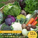 13位! 口コミ数「0件」評価「0」【12品 / 48回定期便】農薬に頼らない！カラダにやさしい「よしのがり野菜」セット（レギュラー）【吉野ヶ里あいちゃん農園】 [FAA008･･･ 