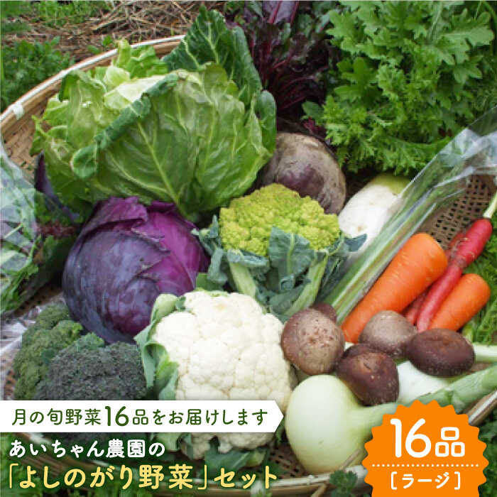 [16品]農薬に頼らない!カラダにやさしい「よしのがり野菜」セット(ラージ)吉野ヶ里町/吉野ヶ里あいちゃん農園