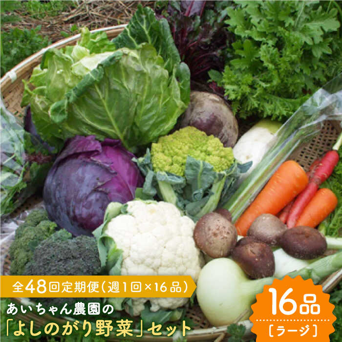 30位! 口コミ数「0件」評価「0」【16品 / 48回定期便】農薬に頼らない！カラダにやさしい「よしのがり野菜」セット（ラージ）【吉野ヶ里あいちゃん農園】 [FAA012]