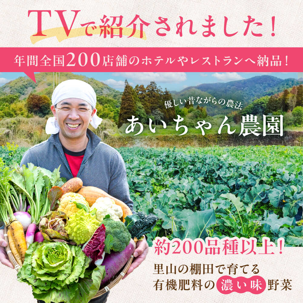 【ふるさと納税】【6品 選べる配送回数】農薬に頼らない！カラダにやさしい「イタリア野菜」セット（ショート）| 野菜 定期便 詰め合わせ 旬 |吉野ヶ里町/あいちゃん農園[FAA013/FAA014/FAA015]