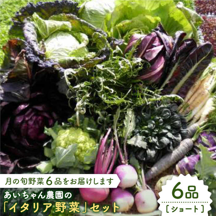 【ふるさと納税】【6品】農薬に頼らない！カラダにやさしい「イタリア野菜」セット（ショート）吉野ヶ里町/吉野ヶ里あいちゃん農園[FAA013]