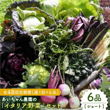 【ふるさと納税】【6品 / 48回定期便】農薬に頼らない！カラダにやさしい「イタリア野菜」セット（ショート）【吉野ヶ里あいちゃん農園】[FAA016]