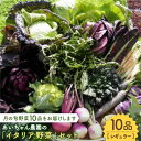 16位! 口コミ数「1件」評価「5」【10品】農薬に頼らない！カラダにやさしい「イタリア野菜」セット（レギュラー）【吉野ヶ里あいちゃん農園】[FAA017]