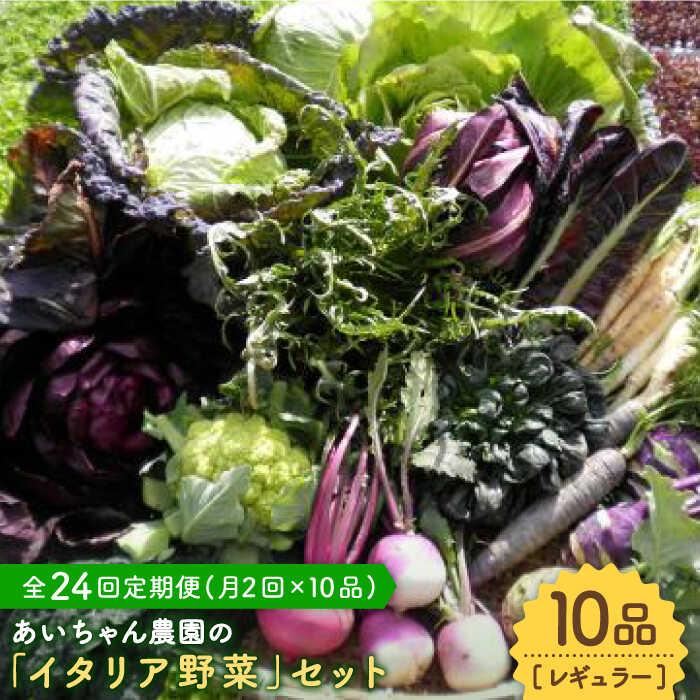 【ふるさと納税】【10品×24回定期便】農薬に頼らない！カラダにやさしい「イタリア野菜」セット（レギ...