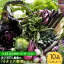 【ふるさと納税】【10品×24回定期便】農薬に頼らない！カラダにやさしい「イタリア野菜」セット（レギュラー）【吉野ヶ里あいちゃん農園】[FAA019]