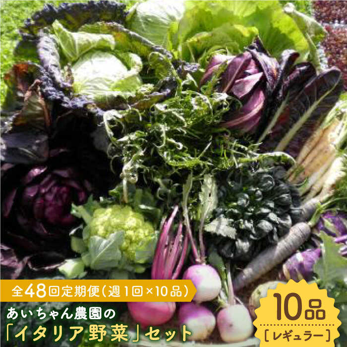 9位! 口コミ数「0件」評価「0」【10品×48回定期便】農薬に頼らない！カラダにやさしい「イタリア野菜」セット（レギュラー）【吉野ヶ里あいちゃん農園】[FAA020]