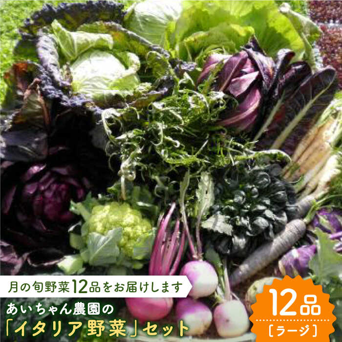 16位! 口コミ数「0件」評価「0」【12品】農薬に頼らない！カラダにやさしい「イタリア野菜」セット（ラージ）吉野ヶ里町/吉野ヶ里あいちゃん農園[FAA021]