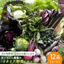 【ふるさと納税】【12品】農薬に頼らない！カラダにやさしい「イタリア野菜」セット（ラージ）吉野ヶ里町/吉野ヶ里あいちゃん農園[FAA021]