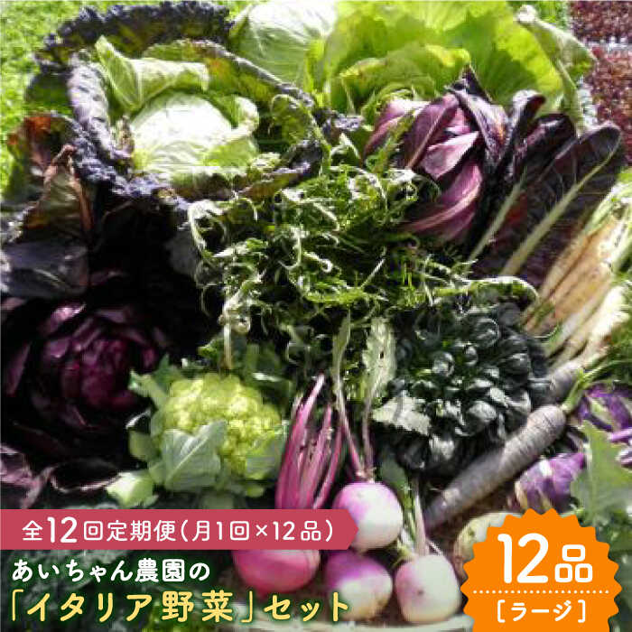 【ふるさと納税】【12品×12回定期便】農薬に頼らない！カラダにやさしい「イタリア野菜」セット（ラー...