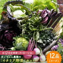 24位! 口コミ数「0件」評価「0」【12品×12回定期便】農薬に頼らない！カラダにやさしい「イタリア野菜」セット（ラージ）【吉野ヶ里あいちゃん農園】[FAA022]