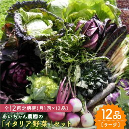 【ふるさと納税】【12品×12回定期便】農薬に頼らない！カラダにやさしい「イタリア野菜」セット（ラージ）【吉野ヶ里あいちゃん農園】[FAA022]