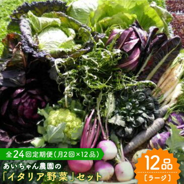 【ふるさと納税】【12品×24回定期便】農薬に頼らない！カラダにやさしい「イタリア野菜」セット（ラージ）【吉野ヶ里あいちゃん農園】[FAA023]