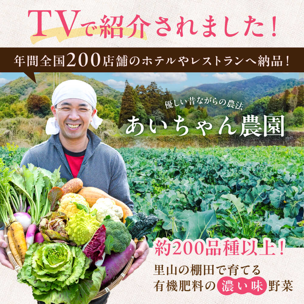 【ふるさと納税】【16品】「使いやすい野菜」×「珍しいイタリア野菜」食べ比べセット 吉野ヶ里町/吉野ヶ里あいちゃん農園[FAA033/034/035]