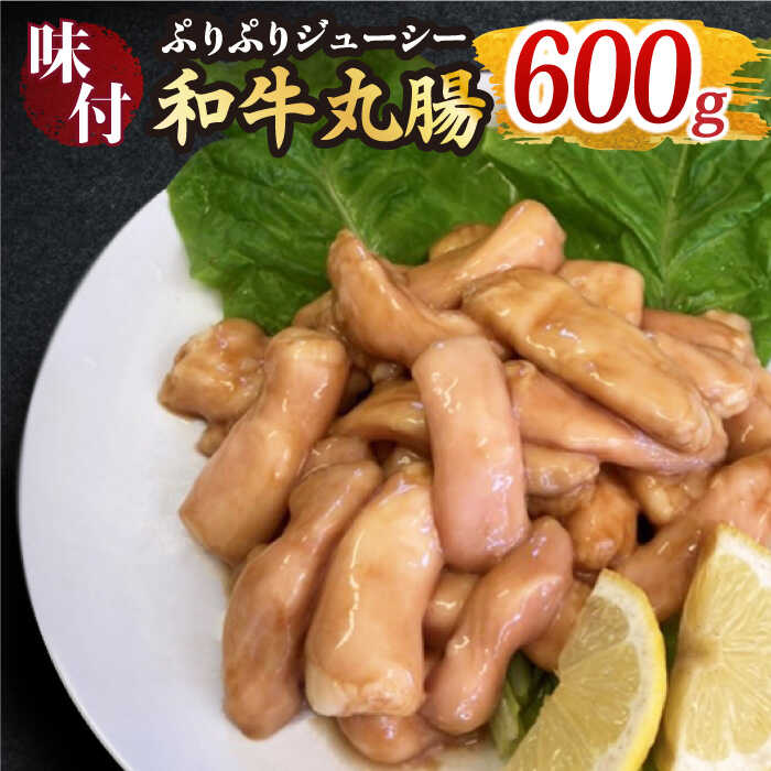 プリプリで味わい深い!ホルモン専門店の和牛丸腸600g(約3〜4人前)[三田川ホルモン専門店]吉野ヶ里町/BBQ/焼肉 