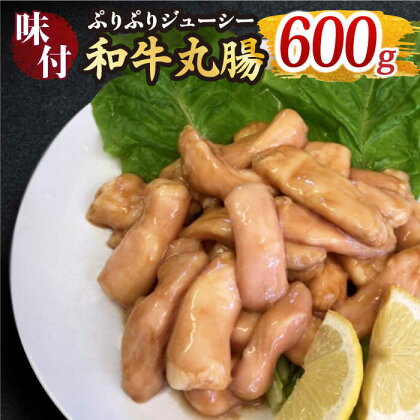 プリプリで味わい深い！ホルモン専門店の和牛丸腸600g（約3〜4人前）【三田川ホルモン専門店】吉野ヶ里町/BBQ/焼肉 [FAC006]