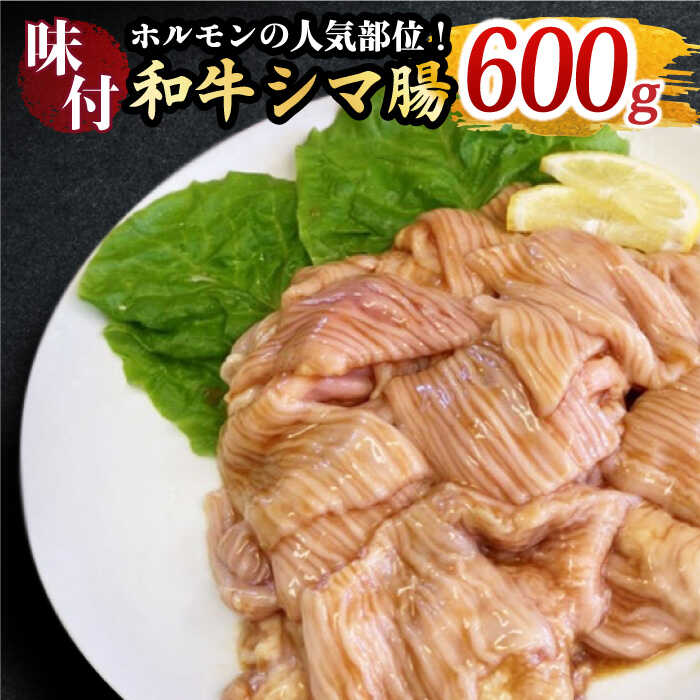 プリプリで味わい深い!ホルモン専門店の味付和牛シマ腸600g(3〜4人前)[三田川ホルモン専門店]吉野ヶ里町/BBQ/焼肉 