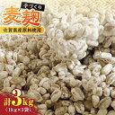 【ふるさと納税】【受注生産】イデマンの麦麹 3kg（1kg×3） 吉野ヶ里町/イデマン味噌醤油醸造元[FAF031]