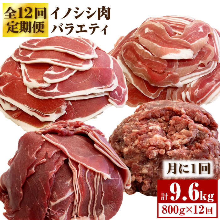 【ふるさと納税】≪脊振ジビエ≫イノシシ肉バラエティ12回定期便 総量9.6kg【ブイマート・幸ちゃん】 [F...