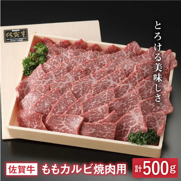 とろける美味しさ 佐賀牛ももカルビ焼肉用 500g[アスタラビスタ] 