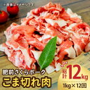 7位! 口コミ数「0件」評価「0」【12回定期便】＜毎日のお料理に便利に使える♪＞肥前さくらポーク こま切れ 1kg （500g × 2パック） 佐賀県産 国産豚肉 小間 小･･･ 