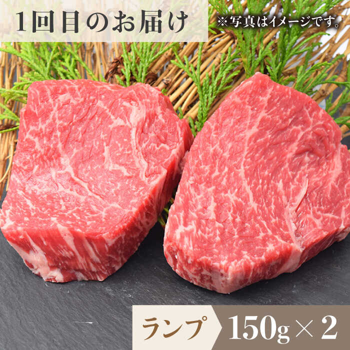 【ふるさと納税】＜6回定期便＞佐賀牛希少部位〜ひとり贅沢ステーキコース〜 イチボ/ランプ/ミスジ/クリ/サーロイン/シャトーブリアン【ミートフーズ華松】 ブランド 高級 和牛 霜降り やわらか 冷凍 料理 精肉 牛肉 希少 赤身 イチボ ランプ ミスジ [FAY069]
