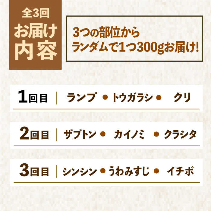 【ふるさと納税】【全3回定期便】佐賀牛希少部位〜ひとり贅沢焼肉コース〜 ランプ/クリ/トウガラシ/ザブトン/カイノミなど【ミートフーズ華松】 ブランド 高級 和牛 霜降り BBQ やわらか 冷凍 料理 精肉 牛肉 希少 赤身 イチボ ランプ ミスジ [FAY071]