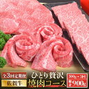 【ふるさと納税】【全3回定期便】佐賀牛希少部位〜ひとり贅沢焼肉コース〜 ランプ/クリ/トウガラシ/ザブトン/カイノミなど【ミートフーズ華松】 ブランド 高級 和...