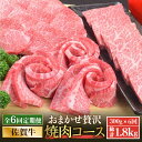 【ふるさと納税】<6回定期便>佐賀牛希少部位含む〜ひとり贅沢焼肉コース〜 ランプ/クリ/トウガラシ/ザブトン/カイノミなど【ミートフーズ華松】 ブランド 高級 ...