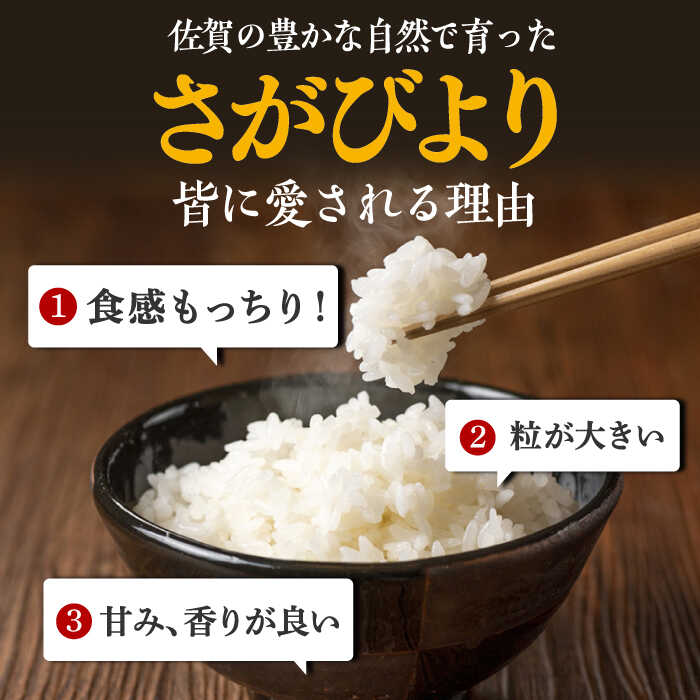 【ふるさと納税】【5kg×6回定期便】12年連続特A評価！さがびより白米 計30kg（5kg×6回）吉野ヶ里町 [FBM003]