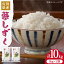 【ふるさと納税】【選べる発送月】【令和5年産】夢しずく 10kg（5kg×2袋）吉野ヶ里町/増田米穀 [FBM017]