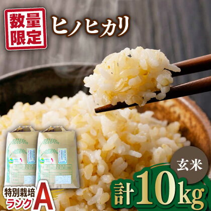 【数量限定】佐賀県産 特別栽培米（Aランク）ヒノヒカリ【玄米】5kg×2袋 合計10kgセット 吉野ヶ里町/種まきの会 [FBO008]