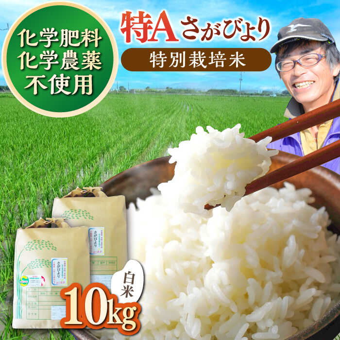 【数量限定】佐賀県産 特別栽培米（Aランク）さがびより【白米】5kg×2袋 合計10kgセット吉野ヶ里町/種まきの会[FBO010]