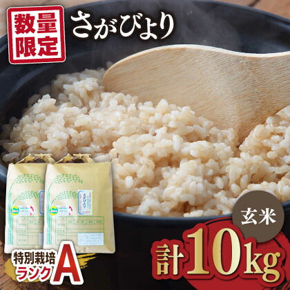 【数量限定】佐賀県産 特別栽培米（Aランク）さがびより【玄米】5kg×2袋 合計10kgセット 吉野ヶ里町/種まきの会 [FBO011]