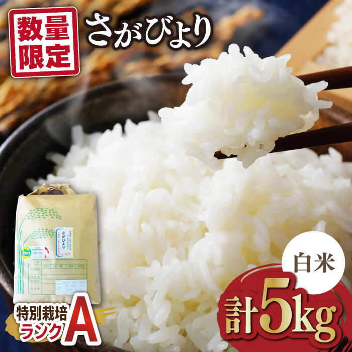 [数量限定]佐賀県産 特別栽培米(Aランク)さがびより[白米]5kg×1袋 吉野ヶ里町/種まきの会 