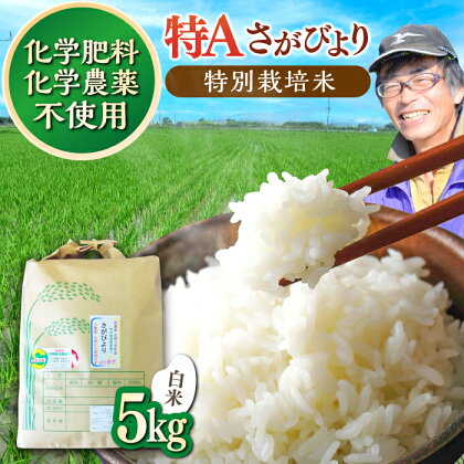 【数量限定】佐賀県産 特別栽培米（Aランク）さがびより【白米】5kg×1袋 吉野ヶ里町/種まきの会 [FBO016]