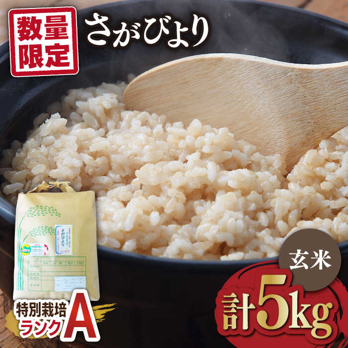 【ふるさと納税】【数量限定】佐賀県産 特別栽培米 Aランク さがびより【玄米】5kg 1袋 吉野ヶ里町/種まきの会 [FBO017]