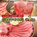 yӂ邳Ɣ[Łzyʌz胂ŗDȂԂԁI A4 A5 ꋍ  1,000g v1kg 5~7lO g샖/ΊېHY [FBX002]