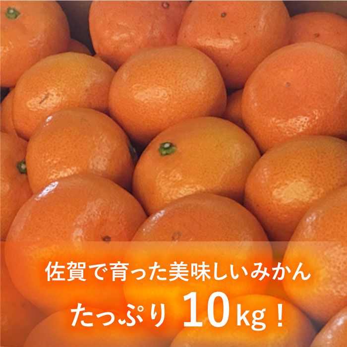 【ふるさと納税】【10月上旬〜1月上旬発送】こたつで美味しいみかんを♪ 佐賀県産 中生みかん 10kg 吉野ヶ里町/リエンサーク [FCC009]