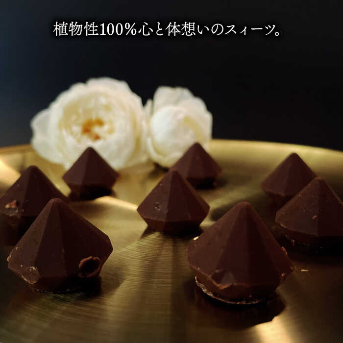 【ふるさと納税】Vegan Raw Chocolate smoke☆植物性100％お砂糖・乳製品不使用のチョコレート【10月～5月限定】 [FCF068]