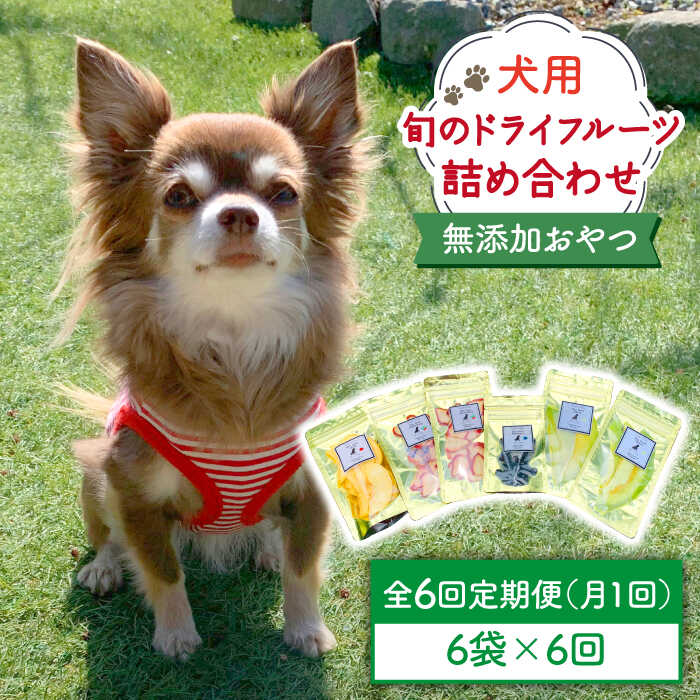 【ふるさと納税】【6袋×6回定期便】犬の無添加おやつ☆お砂糖