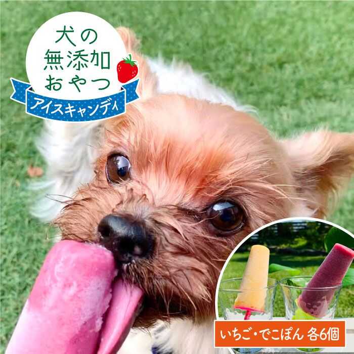 16位! 口コミ数「5件」評価「4.6」犬の無添加おやつ☆お砂糖不使用アイスキャンディいちご＆でこぽん（ペットフード） 吉野ヶ里町/わんこin食堂 [FCG015]