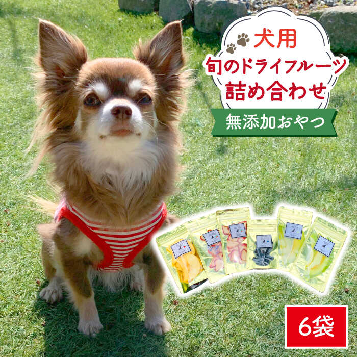 2位! 口コミ数「1件」評価「5」犬の無添加おやつ☆お砂糖不使用 旬のドライフルーツおまかせ6袋 吉野ヶ里町/わんこin食堂[FCG022]