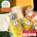 【ふるさと納税】【定期便3回】犬の無添加ごはん☆具だくさんカレー&クリームシチュー&ミネストローネ☆スモークソーセージ入り(各2袋・全6袋)【わんこin食堂】 ...