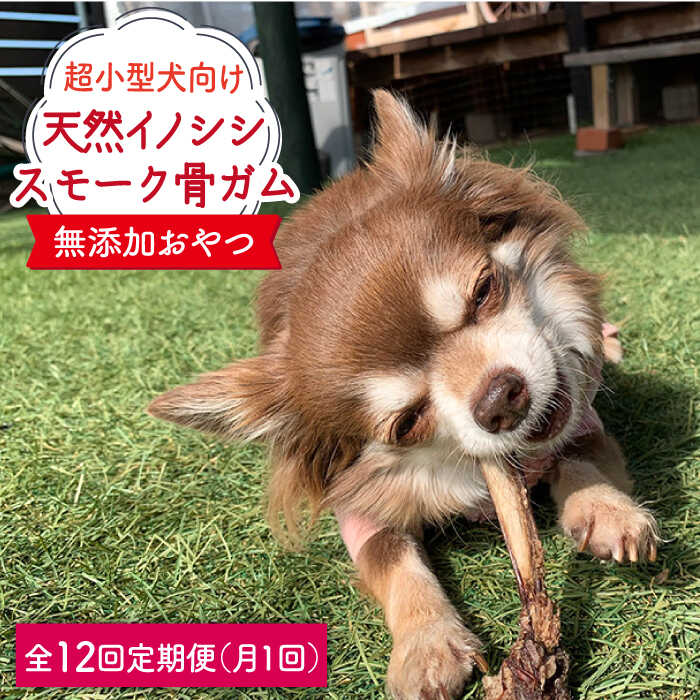 【ふるさと納税】＜12回定期便＞超小型犬向け☆天然いのししのスモーク骨ガム100g わんこin食堂/吉野ヶ里町 [FCG064]