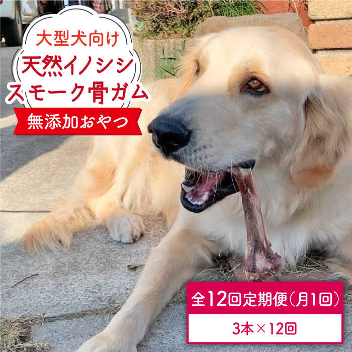 【ふるさと納税】＜12回定期便＞大型犬向け☆天然いのししのスモーク骨ガム3本 わんこin食堂/吉野ヶ里町 [FCG072]