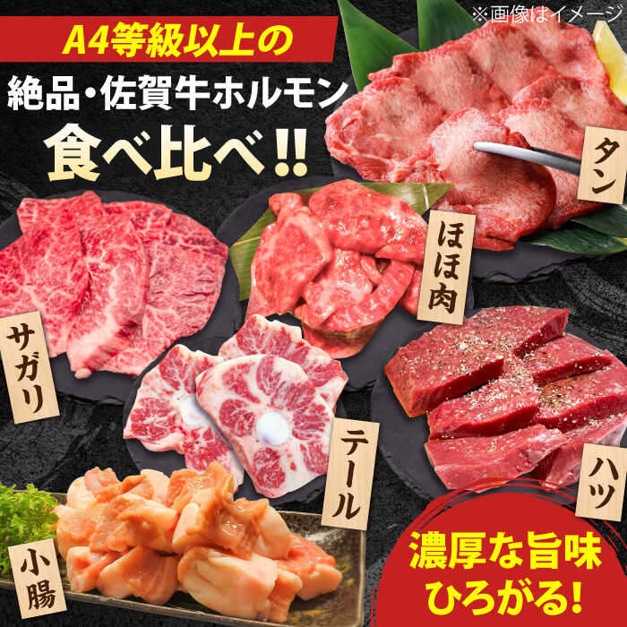【ふるさと納税】【全6回定期便】佐賀牛6種食べ比べ！ ホルモンバラエティセット 10.8kg 4-5人前 タン・小腸など 吉野ヶ里町/やきとり紋次郎[FCJ105]
